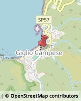 Aziende Sanitarie Locali (ASL) Isola del Giglio,58012Grosseto