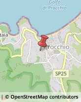 Prodotti Chimici Marciana,57030Livorno