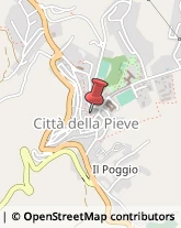 Associazioni ed Istituti di Previdenza ed Assistenza Città della Pieve,06062Perugia