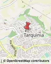 Farmacie Tarquinia,01016Viterbo