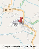 Farmacie Seggiano,58038Grosseto