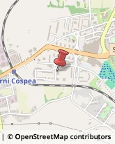 Locali, Birrerie e Pub,05100Terni