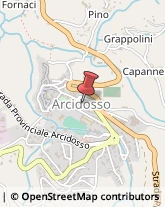 Tribunali ed Uffici Giudiziari Arcidosso,58031Grosseto