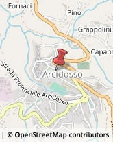 Scuole Pubbliche Arcidosso,58031Grosseto