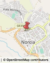 Agenzie Ippiche e Scommesse Norcia,06046Perugia