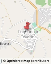 Relazioni Pubbliche Lugnano in Teverina,05020Terni