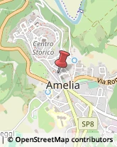 Librerie Amelia,05022Terni