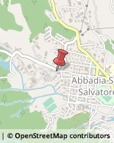 Tour Operator e Agenzia di Viaggi Abbadia San Salvatore,53021Siena