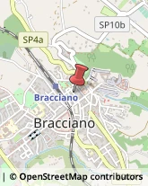 Pelliccerie Bracciano,00062Roma