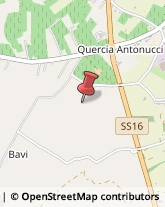 Appartamenti e Residence Ortona,66026Chieti