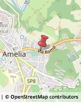 Autonoleggio Amelia,05022Terni