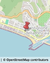 Elaborazione Dati - Servizio Conto Terzi Castiglione della Pescaia,58043Grosseto