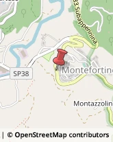 Trasporto Pubblico Montefortino,63858Fermo