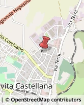 Piante e Fiori - Dettaglio Civita Castellana,01033Viterbo