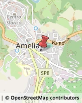 Agenzie di Animazione e Spettacolo Amelia,05022Terni