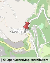 Integratori Alimentari Gavorrano,58023Grosseto