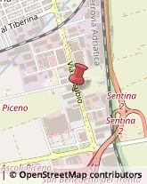 Casalinghi San Benedetto del Tronto,63074Ascoli Piceno
