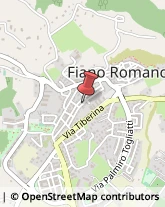 Consulenza Informatica Fiano Romano,00065Roma