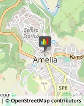 Formaggi e Latticini - Produzione Amelia,05022Terni