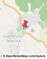 Imprese Edili Lugnano in Teverina,05020Terni