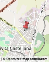 Aziende Sanitarie Locali (ASL) Civita Castellana,01033Viterbo