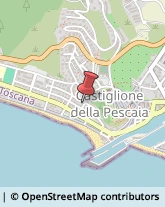 Bandiere e Stendardi Castiglione della Pescaia,58043Grosseto