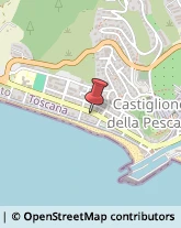 Agenti e Rappresentanti di Commercio Castiglione della Pescaia,58043Grosseto