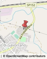 Consulenza del Lavoro Gavorrano,58023Grosseto