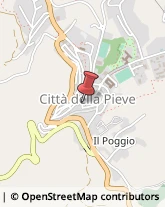 Associazioni Sindacali Città della Pieve,06062Perugia