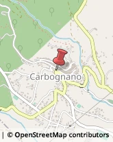 Consulenza di Direzione ed Organizzazione Aziendale Carbognano,01030Viterbo