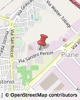 Palestre e Centri Fitness,66050Chieti