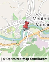 Piante e Fiori - Dettaglio Montorio al Vomano,64046Teramo
