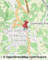 Piante e Fiori - Dettaglio San Valentino in Abruzzo Citeriore,65020Pescara