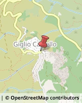 Arredamento - Produzione e Ingrosso Isola del Giglio,58012Grosseto