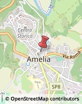 Biblioteche Private e Pubbliche Amelia,05022Terni