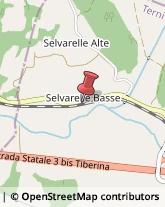 Aziende Agricole,05021Terni