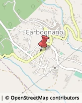 Automobili - Commercio Carbognano,01030Viterbo