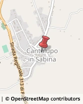 Aziende Agricole Cantalupo in Sabina,02040Rieti