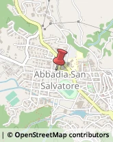 Elettrodomestici Abbadia San Salvatore,53021Siena