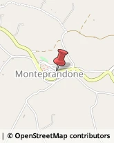 Alimenti Conservati Monteprandone,63076Ascoli Piceno