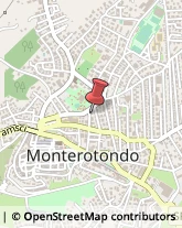 Coppe e Trofei - Dettaglio Monterotondo,00015Roma