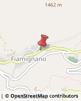 Corpo Forestale Fiamignano,02023Rieti