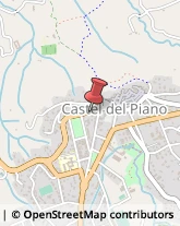 Ristoranti Castel del Piano,58033Grosseto