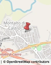 Calzature - Dettaglio Montalto di Castro,01014Viterbo