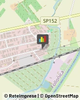 Studi Tecnici ed Industriali Follonica,58022Grosseto