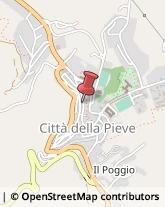 Erboristerie Città della Pieve,06062Perugia