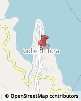 Aziende Agricole Colle di Tora,02020Rieti