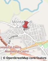 Toner, Cartucce e Nastri Montalto di Castro,01014Viterbo