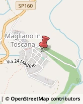 Veterinaria - Ambulatori e Laboratori Magliano in Toscana,58051Grosseto