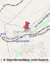 Maglieria - Produzione Vignanello,01039Viterbo